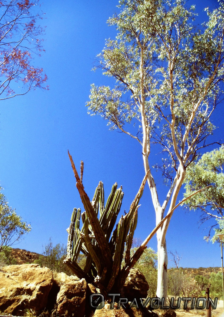 Alice Springs Telegraph Station Historical Reserve