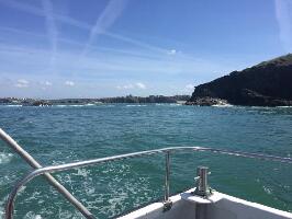 Newquay Sea Safaris and Fishing
