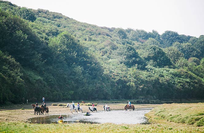 Newquay Riding Stables