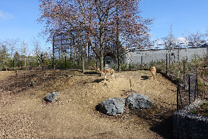 Paris France Zoo