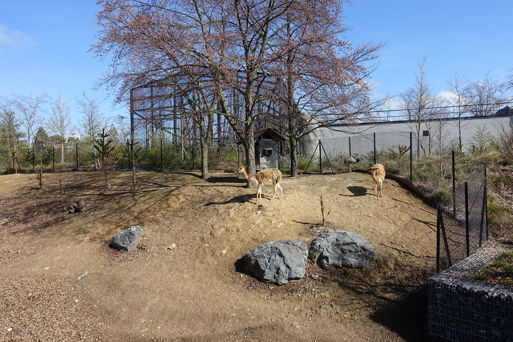 Parc Zoologique de Paris