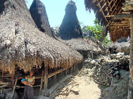 Tereng Wilis Eco Tourism Village