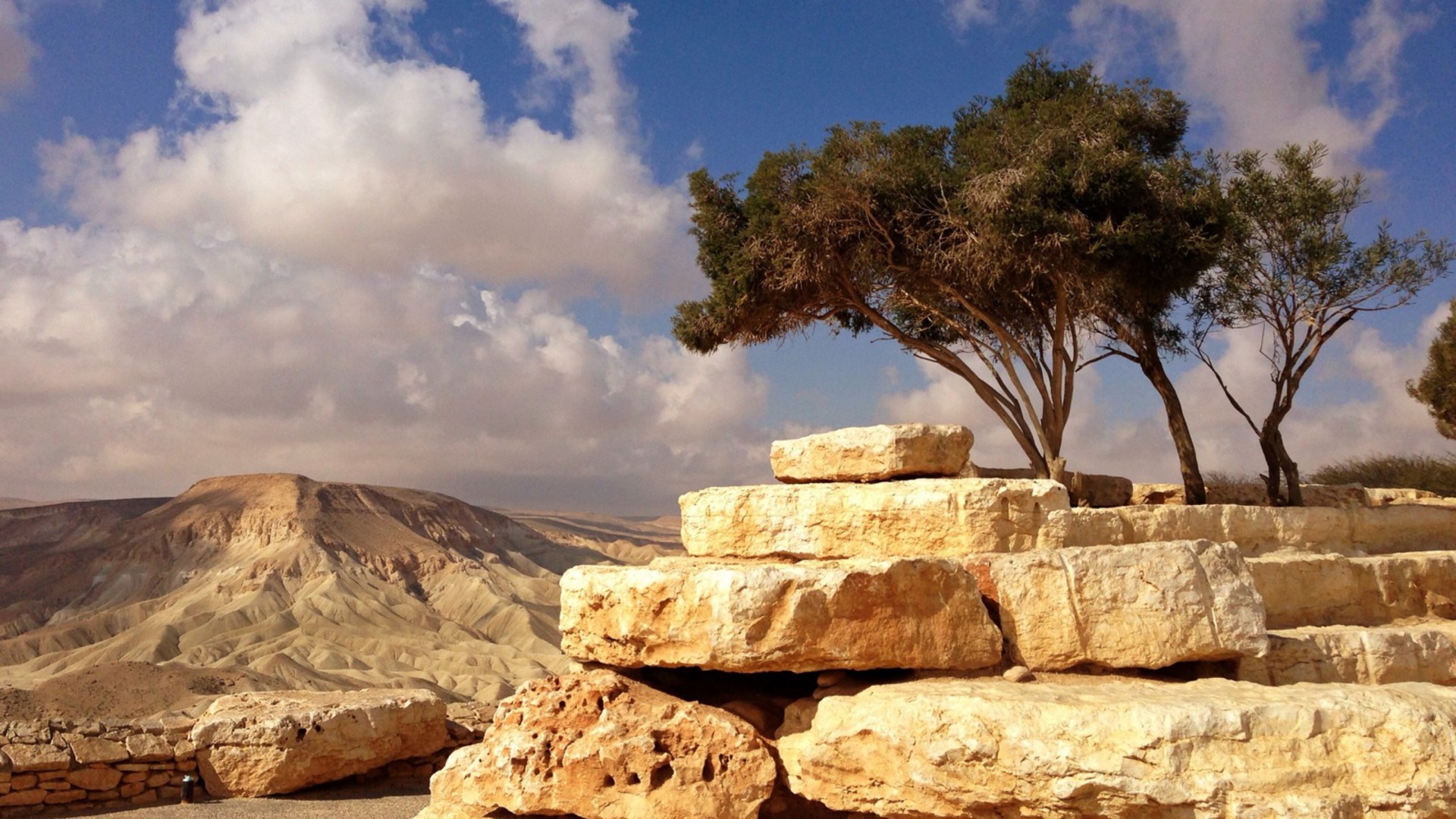 My Israel Wine Tours