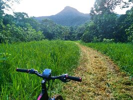 Queensland Australia Tour