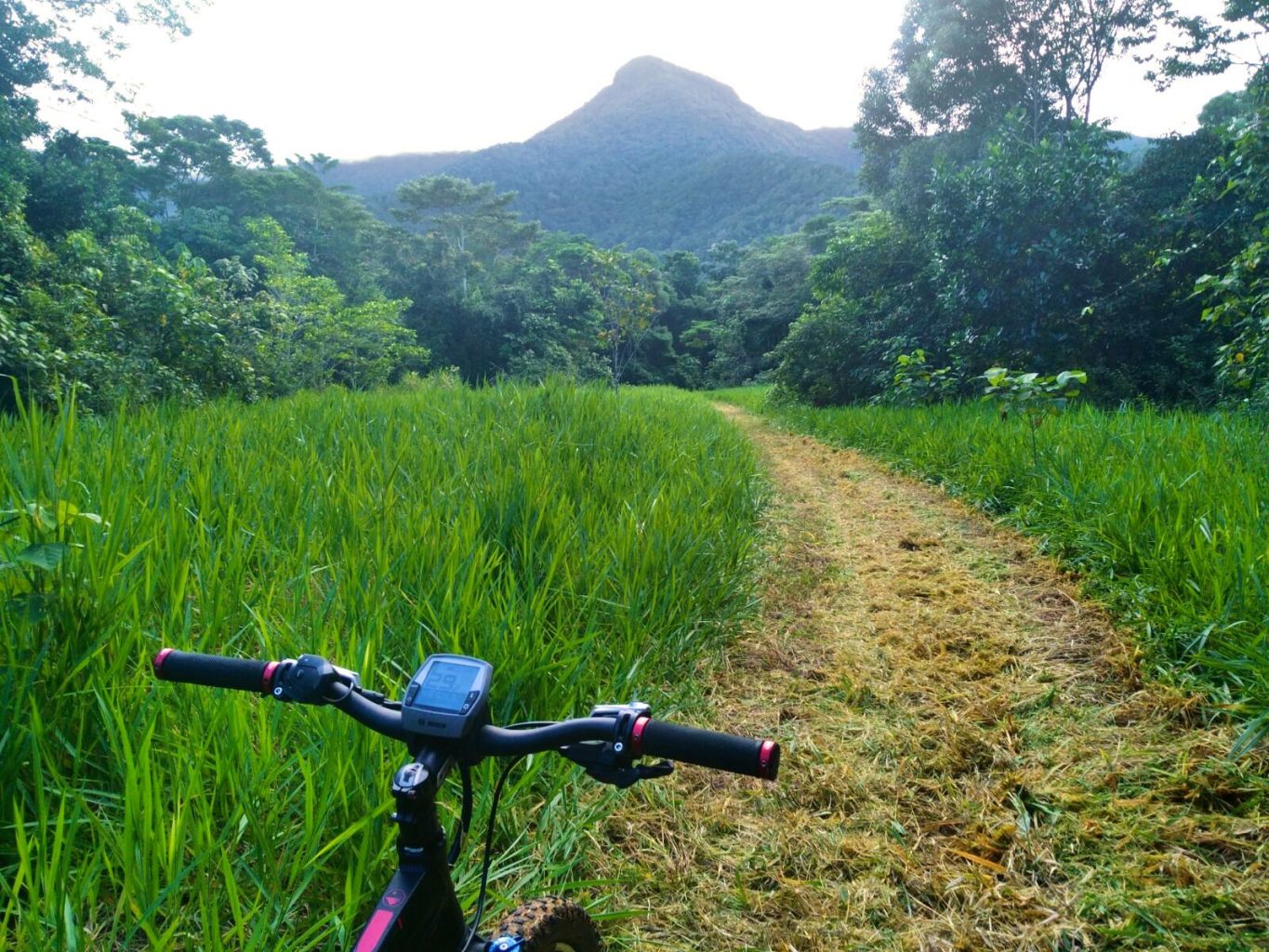 Freeride Electric Adventure Tours