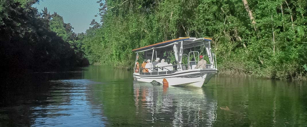 Solar Whisper Daintree River Wildlife Cruises