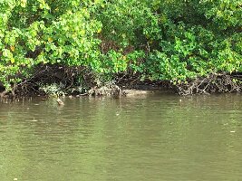 Queensland Australia Cruise
