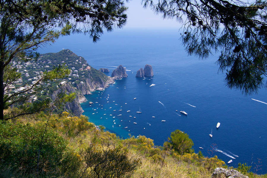 Travel Amalfi Day Tours