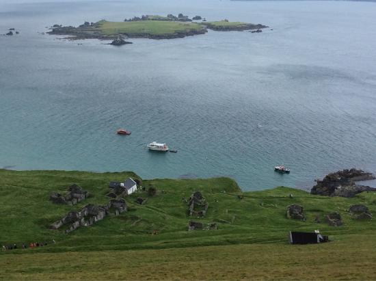Dingle Bay Speed Boat Tours and Great Blasket Island Experience