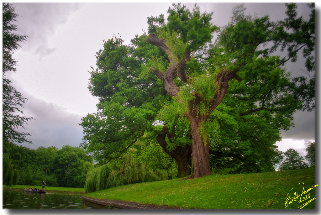 University of Cambridge