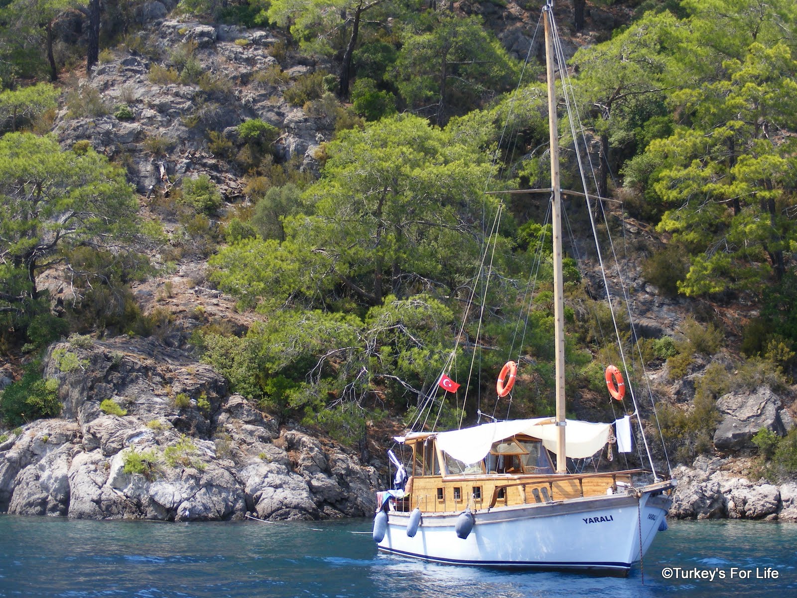 M.T Private Boat Trip