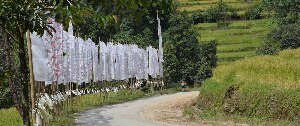 Art of Bicycle Trips