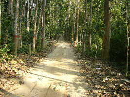 Sreemangal Bangladesh Park