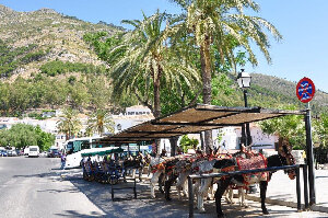 Taxi Transfer Mijas