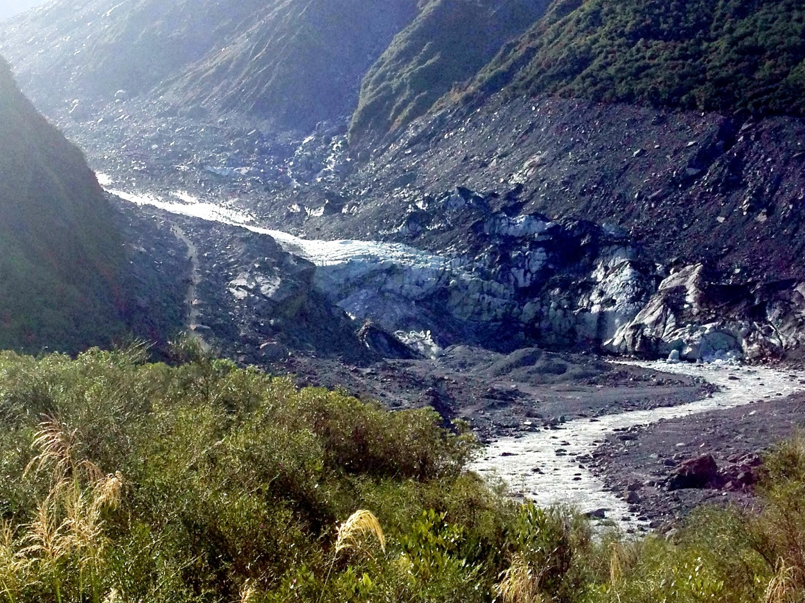 Fox Glacier Hiking Trails