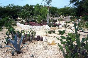 Queen Elizabeth II Botanic Park