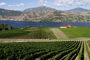 Blasted Church Vineyards