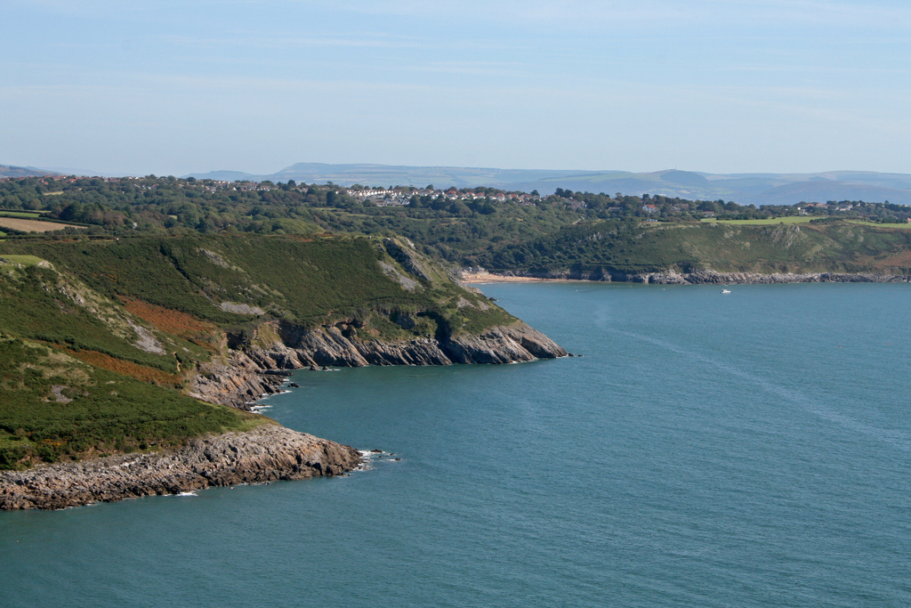 Gower Gallery