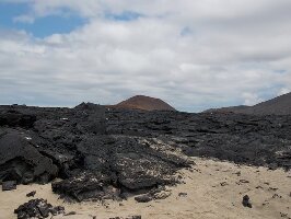 Gray Line Tours Ecuador