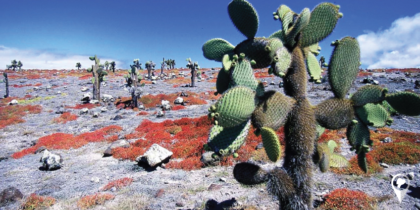 Enjoying Ecuador Travel