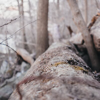 Turkey Run Park