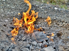 Focul Viu de la Andreiasu de jos