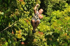 Chiclets Tree Zipline