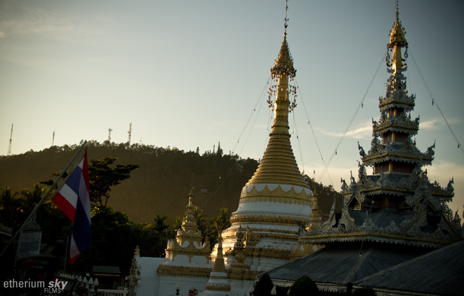 Buffalo Tours - Thailand