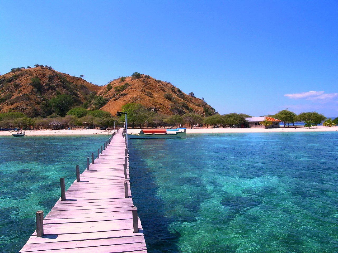 Komodo Tours Flores