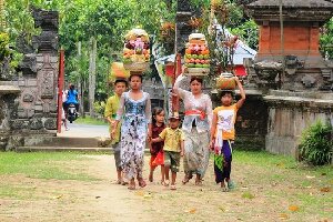 Bali Distinction Fredy
