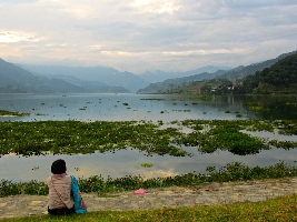 Phewa Tal (Fewa Lake)