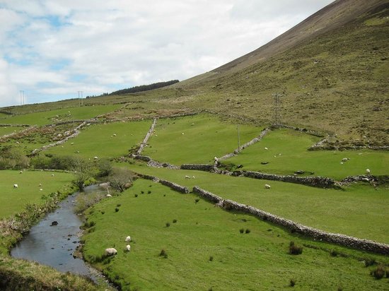 Hillwalk Tours