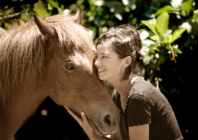 Havana Horses