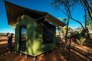 Wayoutback Australian Safaris - Day Tours