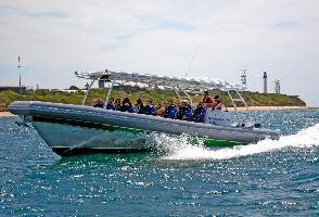 South Bay Eco Adventures