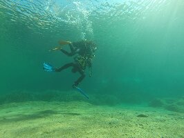 Palau Palau Dive