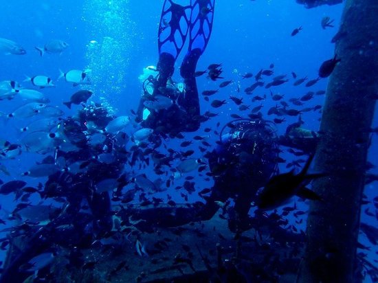 Watercolours Dive Centre
