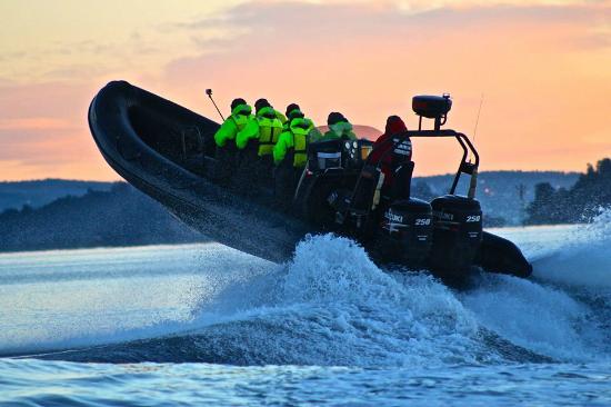 RIB Oslo - Safari Adventures