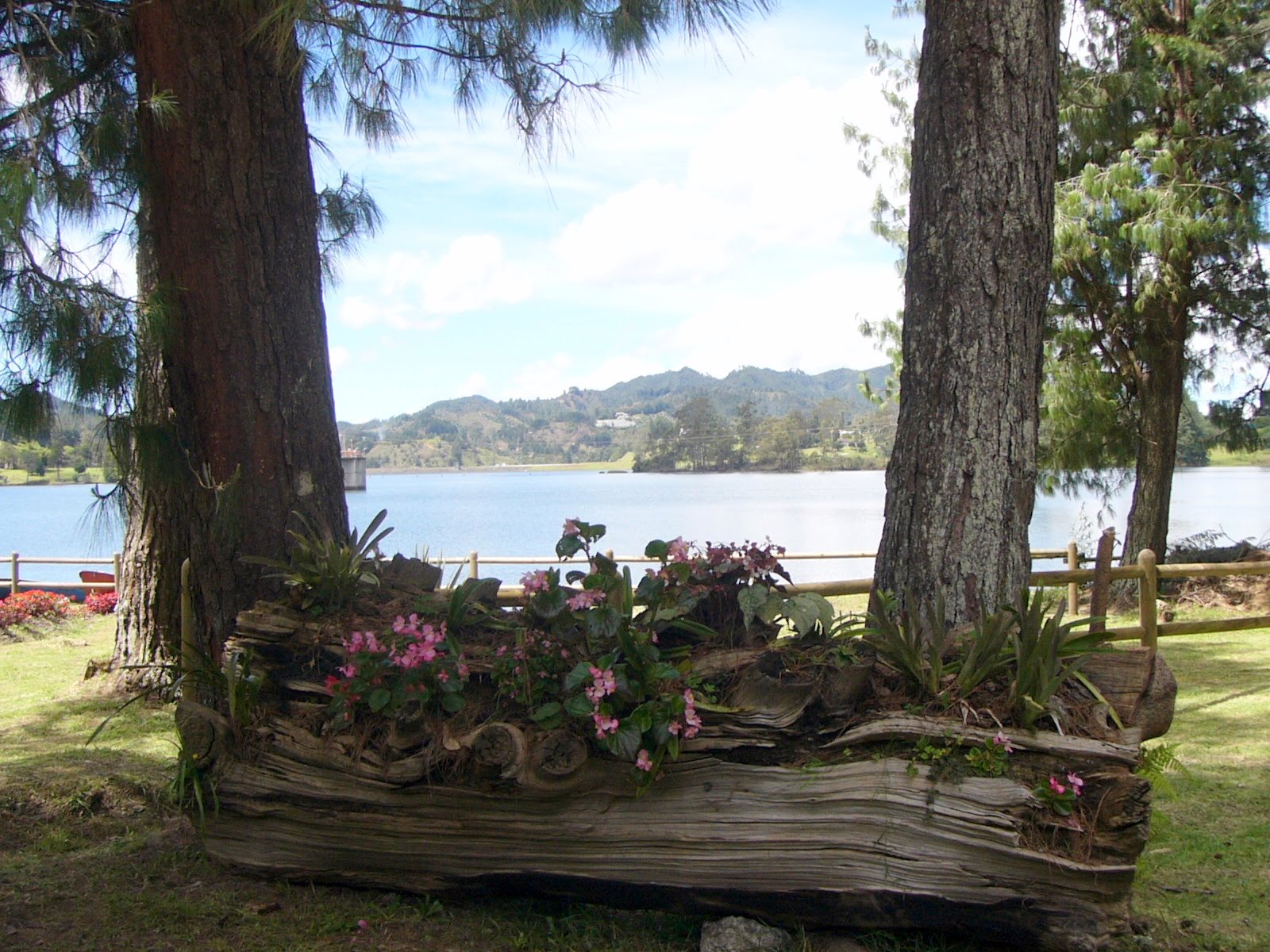 Parque Ecol&oacute;gico de S&atilde;o Carlos