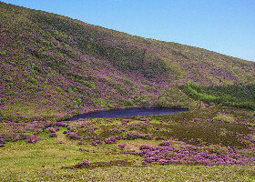 Clogheen Ireland Mountain