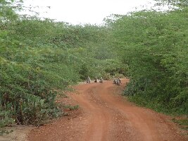 Hambantota Sri Lanka National Park