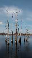 Monroe United States Bay