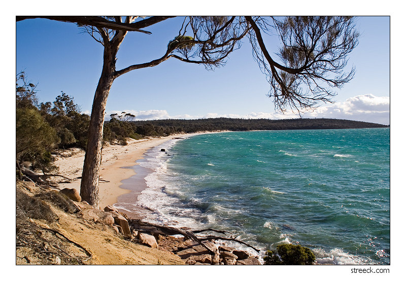Cooks Beach