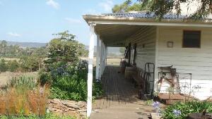 Swansea Australia Vineyard