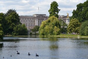 Gavin Webb, Tour Guide of London