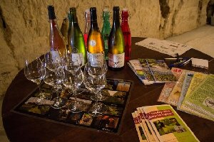 Chancay France Winery Tour