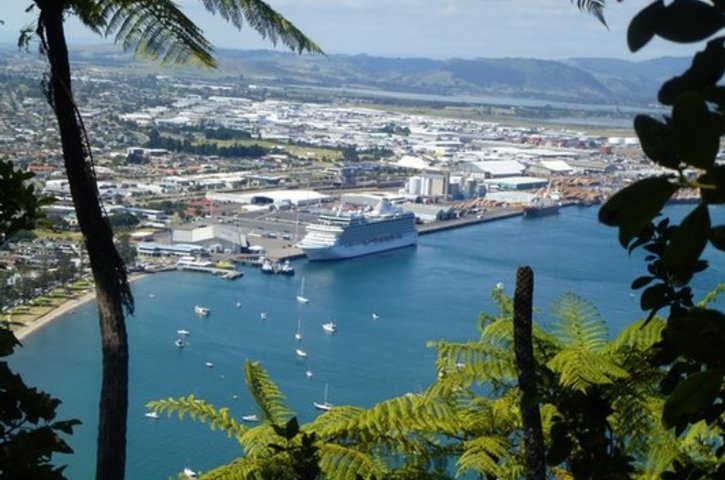 Shore Trips and Tours