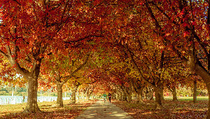 Australia Australia Lake