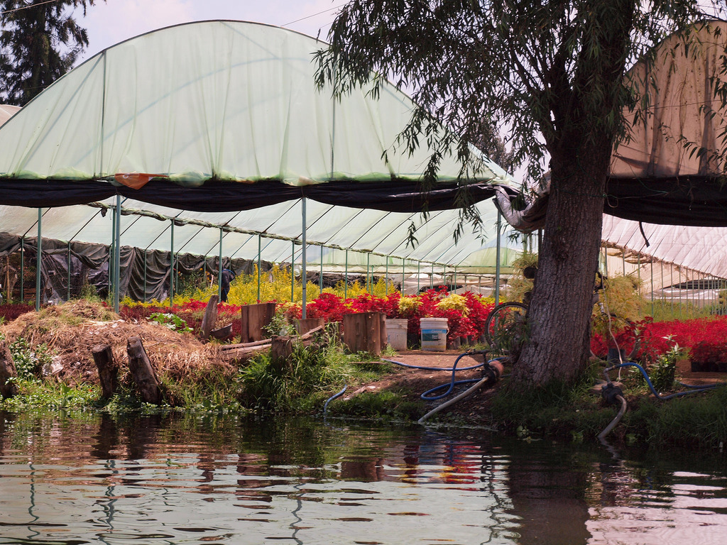 Floating Gardens of Xochimilco