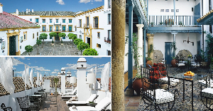 Bodyna Las Casas del Rey de Baeza